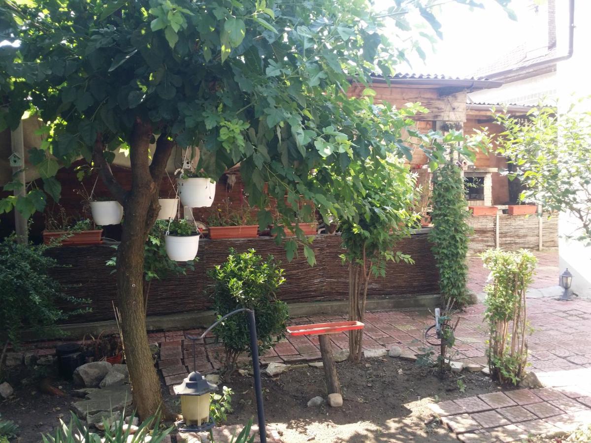 图尔恰 Casa Trandafirilor酒店 外观 照片