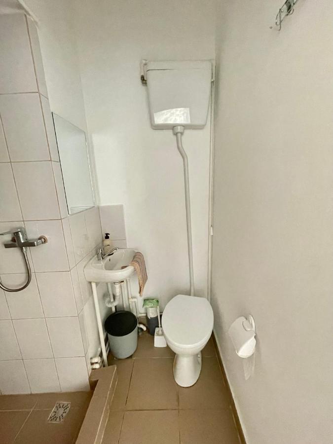 图尔恰 Casa Trandafirilor酒店 外观 照片