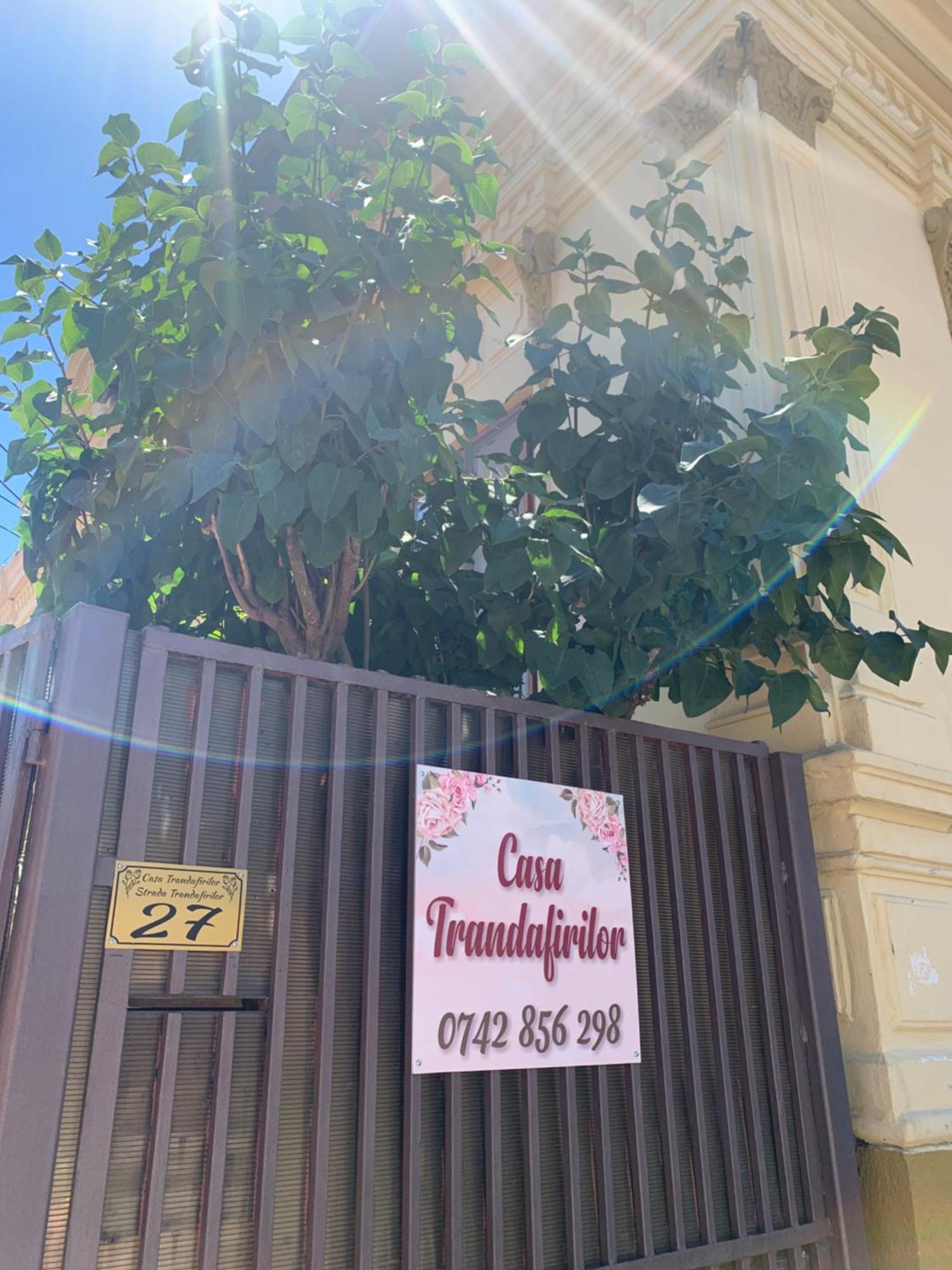 图尔恰 Casa Trandafirilor酒店 外观 照片